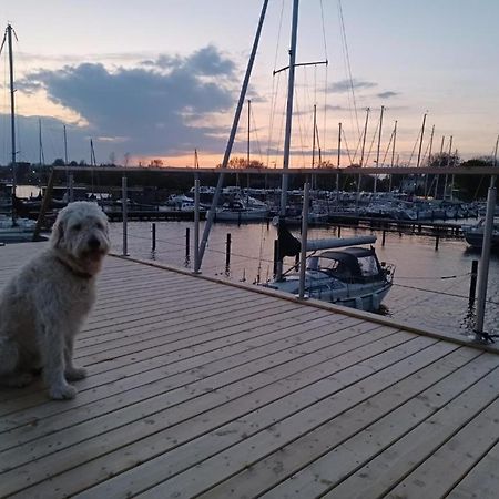 Hausboot Gluecksmomente Mit Dachterrasse In Schleswig Am Ostseefjord Schlei Buitenkant foto